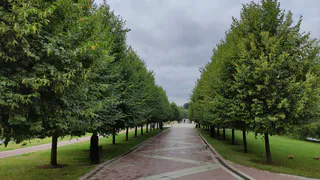 В Гидрометцентре рассказали, что будет в июле – такого в XXI веке еще не было