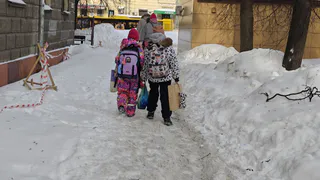 В Нижнекамске стартует антибуллинговая программа: запустят чат‑бот и проведут тренинги с федеральными экспертами