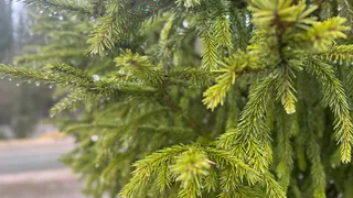 В Челябинской области ожидается +5 градусов: синоптики рассказали о погоде на 12 марта