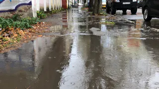 3 ноября в Рязанской области ожидаются дожди и +8