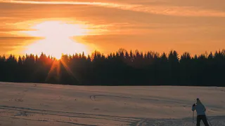 Жителей Коми предупредили об опасности зимнего солнца