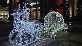 В Пензе началась подготовка к празднованию Нового 2024 года