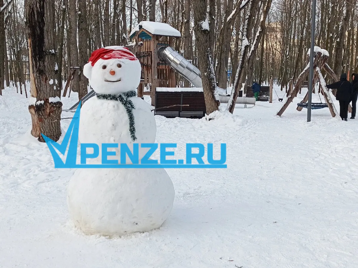 Юные пензенцы слепили главного зимнего героя