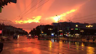 Instagram рязанцев: дружные псы, отражение, за кукурузой