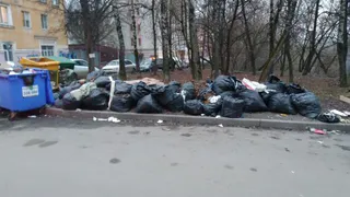 Центр Брянска завалили мешками с листвой