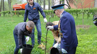Мэр Рязани посадил яблони в "Саду Победы"
