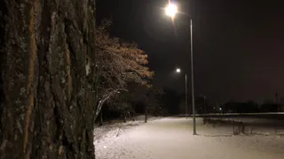 Дальше - больше: синоптики предсказывают россиянам, что снегопады станут сильнее