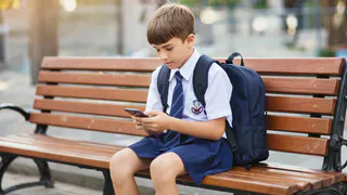 Власти Татарстана потратят почти 3 млн на обновление школьного приложения