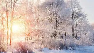 Синоптик предупредил о «нордическом» декабре 2022 года