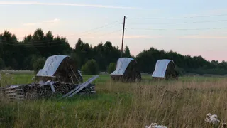 Сельхозпроизводители Коми превысили план по запасам кормов