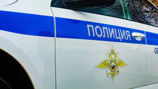 В Ермишинском районе полиция задержала 47-летнего заготовщика конопли