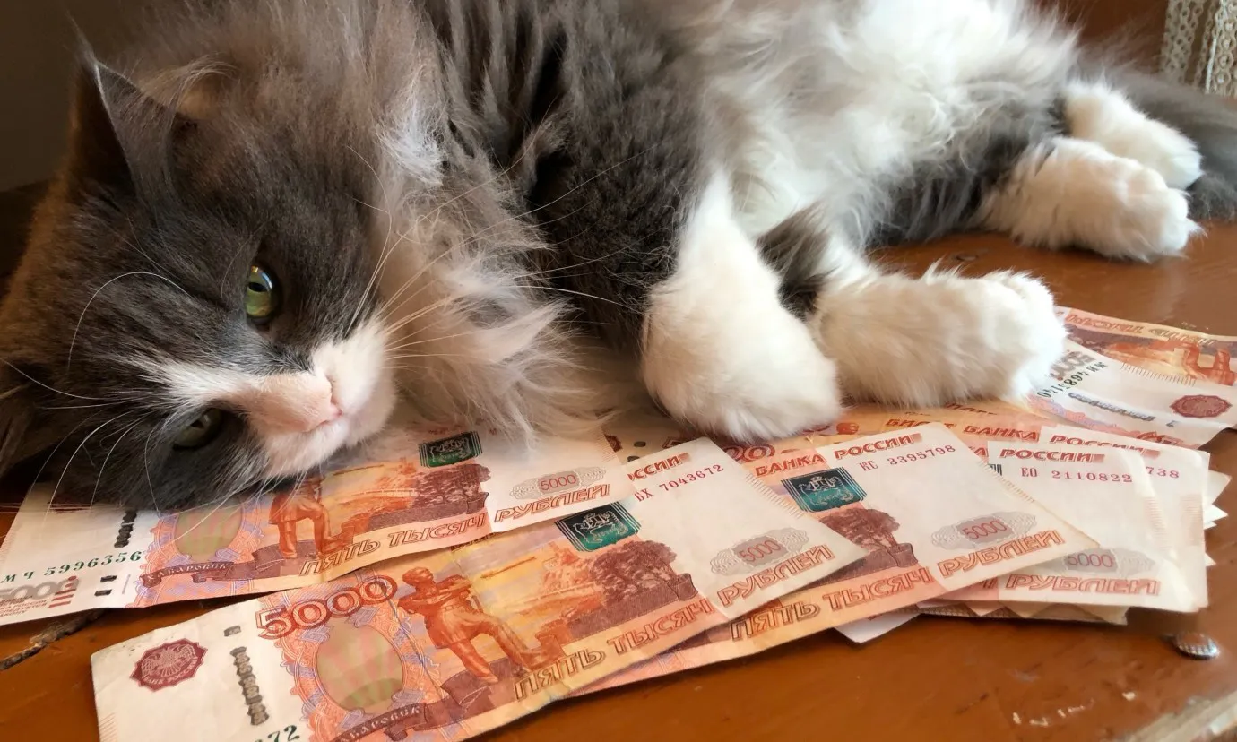 Какую ждать пенсию, если не работал официально больше 10 лет?