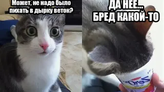 Очевидцы: в центре города 5 лет подряд был открыт канализационный люк