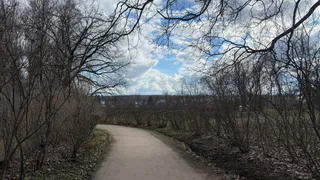 В Сараевском районе раскидали тысячи брикетов для защиты животных от бешенства 