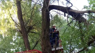 В Рязани в июне 2022 года устранили последствия шторма