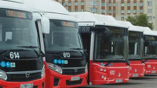 В регионе за пять лет планируют закупить 331 единицу общественного транспорта