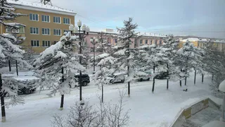 «Январь и февраль будут беспощадны». Синоптики сказали, к чему готовиться