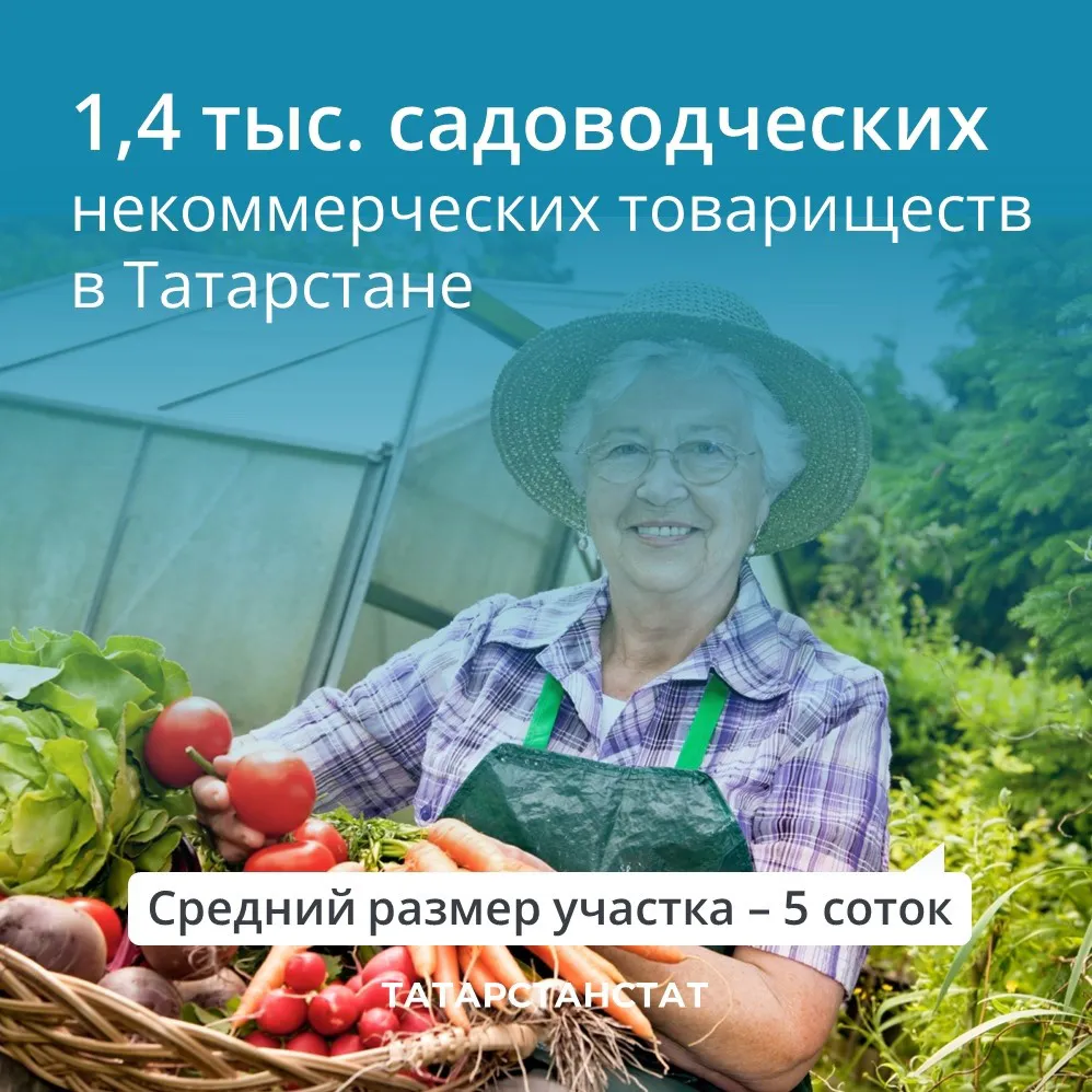 Интересные цифры: на территории Татарстана организовано 1,4 тыс. садоводческих некоммерческих товариществ