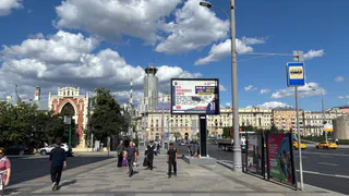 Любимицы Лошади: 7 женских имён, которые будут активно притягивать успех в 2026 году