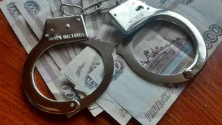 В России полицейские задержали подозреваемого в хищении бюджетных 210 млн рублей