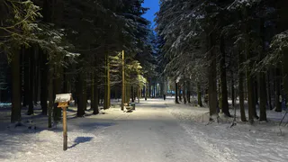 Дали новый прогноз: чего ждать от зимы 2025-2026 - будет ли снег, суровые морозы и когда наступит настоящая зима