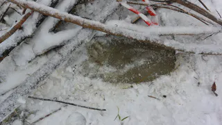 Люк у Кремлевского вала, в который провалилась девочка, заделали