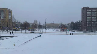 Роман Вильфанд прогнозирует аномальную зиму и невообразимые снежные рекорды