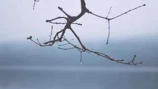 О погоде в Рязани - в выходные потеплеет до +2 градусов