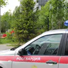 В Сыктывкаре Росгвардия остановила дебошира при попытке разбить окна гостиницы