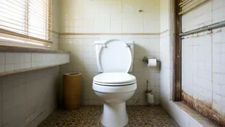 Кидаю 2 пригоршни в унитаз - и он чист как в день создания: ни ржавчины, ни налета, ни желтизны 