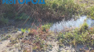 Рязанцы жалуются на неприятный запах на улице Зубковой