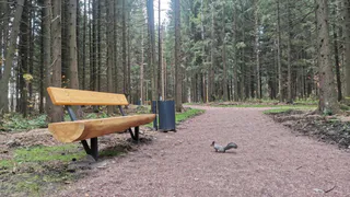 В одном из парков города Магнитогорска был обнаружен мужчина в крови