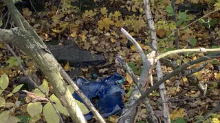 В районе поисков Елены Логуновой обнаружили женские джинсы