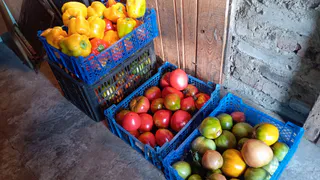 Почему в этому году в деревнях резко перестали сажать огороды: заехал и узнал у местных - нашли более прибыльное дело 