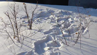 Нижнекамские поисковики спасли жизнь 70-летнему пенсионеру 