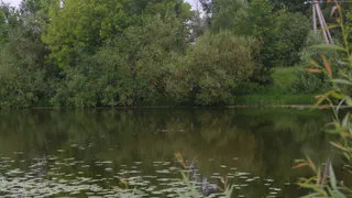 В воскресенье в водоемах Рязани утонули два человека
