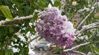 Весной ударят аномальные морозы намного хлеще зимних. Синоптики обновили прогноз на март и апрель        