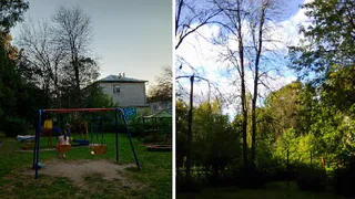 Засохшие деревья сегодня в моде: жители еще одного района пожаловались на сухостой во дворе