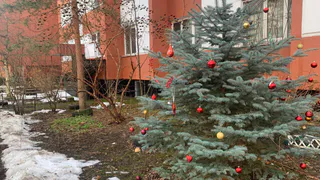 На следующей неделе в Рязани похолодает до -13 градусов