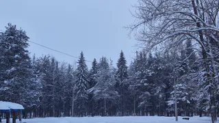 «Поступили новые данные». Синоптики внезапно изменили прогноз на февраль