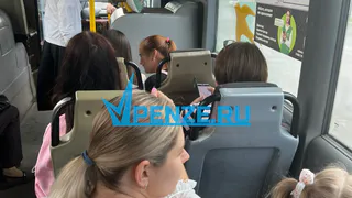 Пензячку довели до точки кипения: при 25 градусах на улице в автобусах включают печки