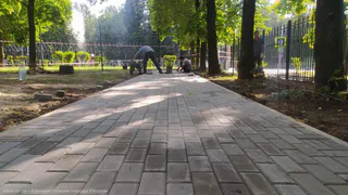 Рязанцы оценили, как площадка для выгула собак повлияет на отношения с соседями