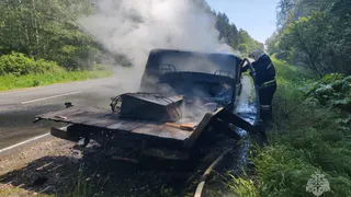 На трассе 17К-2 под Муромом пожар уничтожил автомобиль