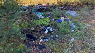 Целый полигон: рязанцы нашли еще одну стихийную свалку под Криушей