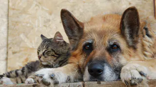 Айдар Метшин: мы должны выйти на системное решение