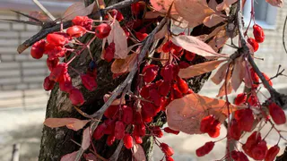 Еще теплее: в Рязанской области ожидается до +15 градусов