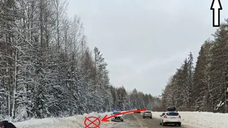 В одном из районов Коми иномарка слетела в кювет