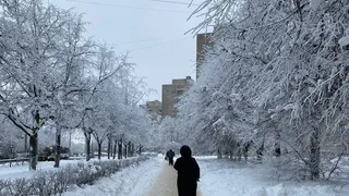 Во Владимир на несколько дней придут 25-градусные морозы