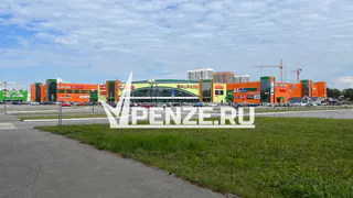 Молодая пензячка, покрутившись на фонарном столбе, сломала его