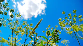 С завтрашнего дня в Нижнекамске потеплеет